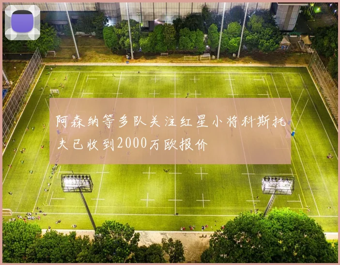 阿森纳等多队关注红星小将科斯托夫已收到2000万欧报价